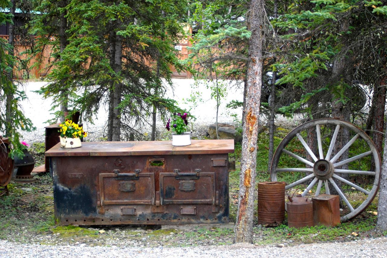 Denali Grizzly Bear Resort Denali Park Ngoại thất bức ảnh