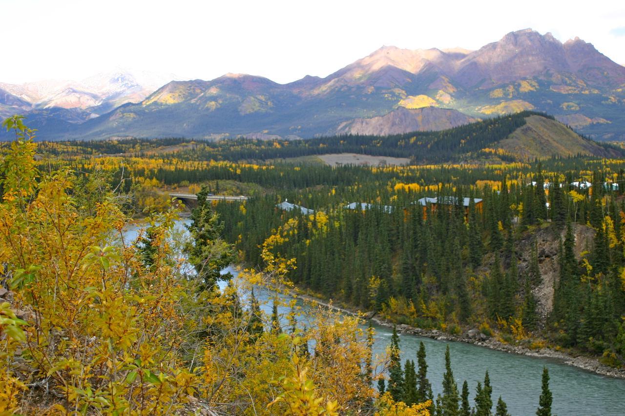 Denali Grizzly Bear Resort Denali Park Ngoại thất bức ảnh